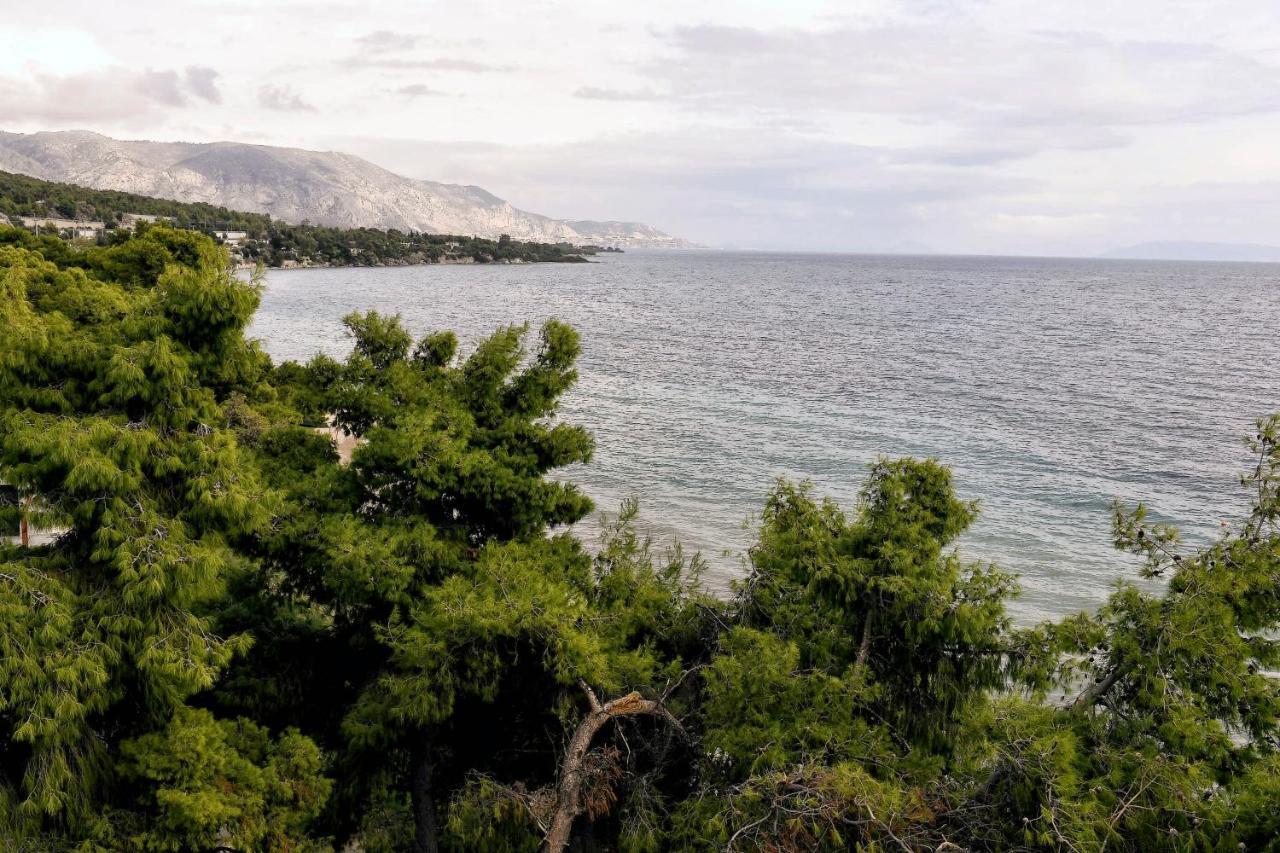 Siagas Beach Hotel Агии Теодори Екстериор снимка