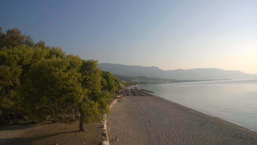 Siagas Beach Hotel Агии Теодори Екстериор снимка