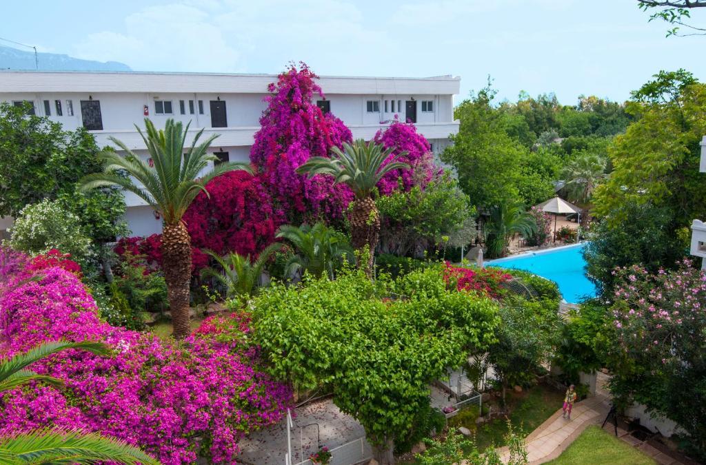 Siagas Beach Hotel Агии Теодори Екстериор снимка